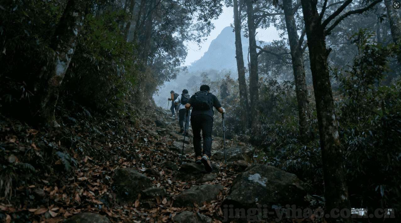 篮球世界杯冠亚军竞猜-篮球世界杯冠亚军竞猜，智慧与激情的碰撞